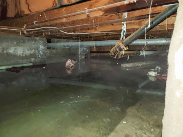 Carpet water damage restoration in NM