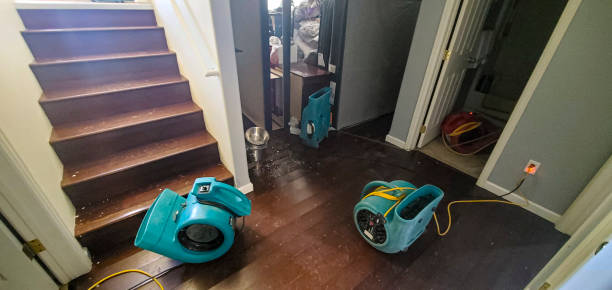 Best Basement water damage restoration  in Rio Rancho Estates, NM