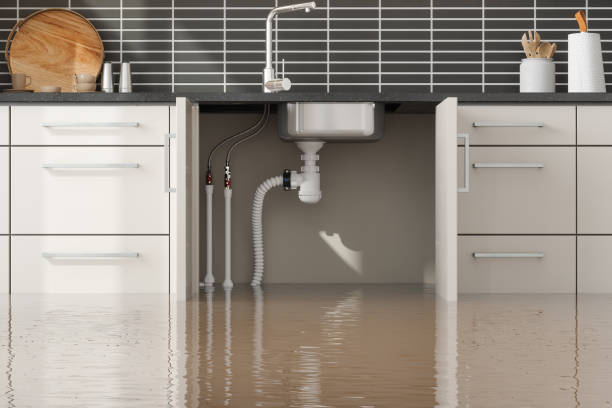 Best Water damage contractors near me  in Rio Rancho Estates, NM