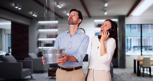 Best Fire Damage Restoration  in Rio Rancho Estates, NM